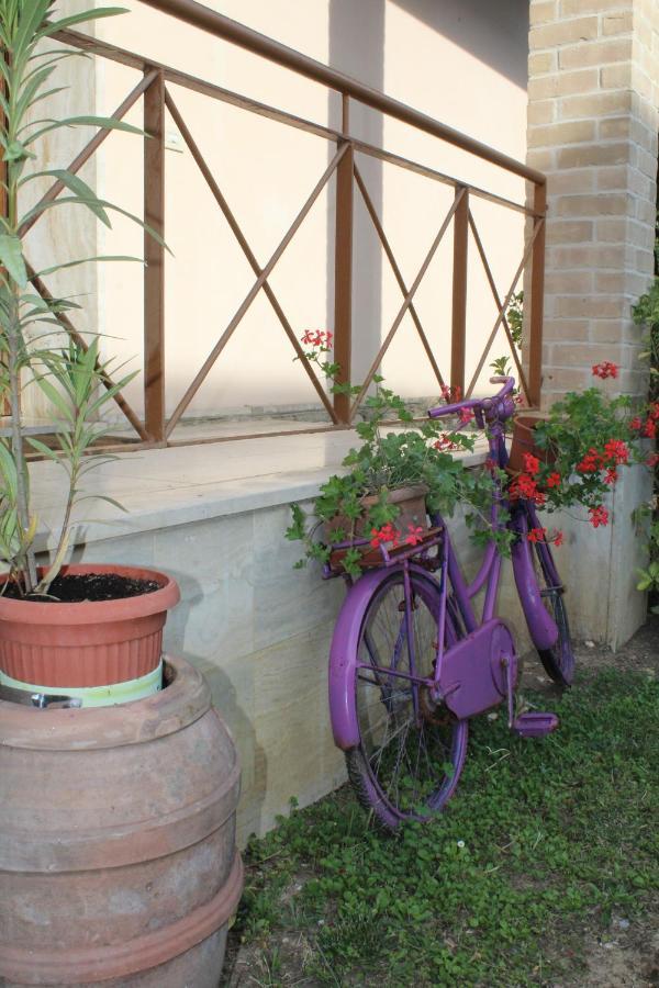 Alle Terme B&B Rapolano Terme Exterior photo